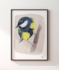 Quadro Pássaro Chapim-Azul