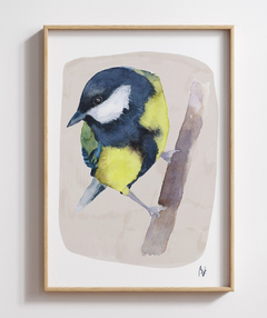 Quadro Pássaro Chapim-Azul - comprar online