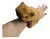 Capibara De Peluche Pulsera Importada Calidad Premium