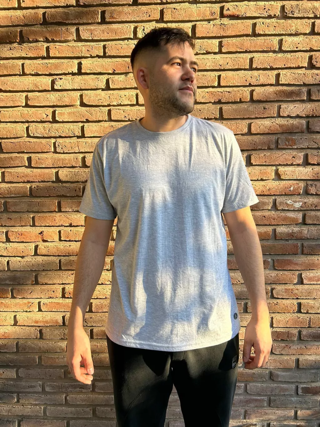 Remera clásica unisex