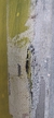 PRANCHA WING RATONES 105 LITROS - 5'9" TRINCADA - comprar online