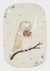print art - cozy owl