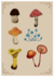 print art - cogumelos - comprar online