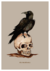 print art - corvo na caveira - comprar online