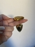 Plug Anal P Em Metal Com Pedra Cravejada Em Strass Hard - cor dourado na internet