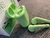 AURICULARES BT TWINS BTWINS5S - tienda online