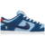 Why So Sad? x Nike SB Dunk Low 'The Predatory Bird'