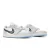 Dior x Air Jordan 1 Low