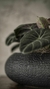 VASO CENTRO DE MESA - comprar online