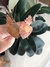 PUXADOR EM FERRO "SAGRADO" - Carlotta's Home Decor