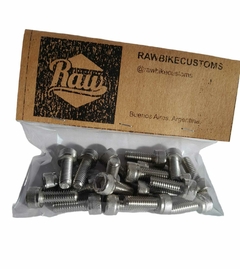 KIT TORNILLOS INOX X20 (Road runner-Suube).