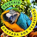 Cristais Chapada dos Veadeiros