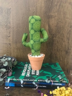 cacto verde mandala