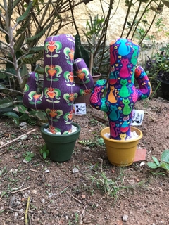 cacto rainha berinjela - gato negro
