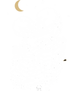 Categoria 10
