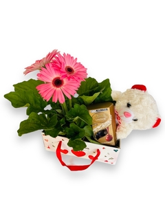 BOX LINDT COM GÉRBERAS E URSINHO - ROSA - comprar online