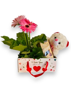 BOX LINDT COM GÉRBERAS E URSINHO - ROSA