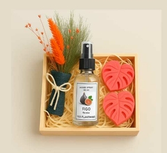 Kit Sopro de Amor - comprar online
