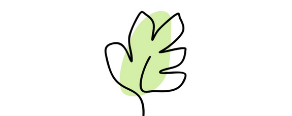 Yes Plantinhas
