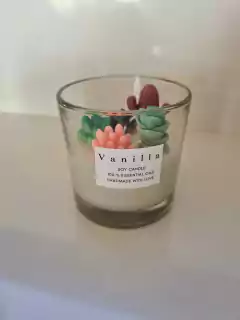 VELA CAPTUS