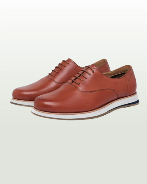 Sapato Oxford Gagli Pinhão