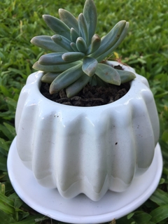 MACETA CALABAZA
