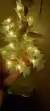 luces arbolito