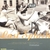 THE BREEDERS- Last Splash - comprar online