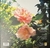 NEW FOUND GLORY - Make The Most Of It - comprar online