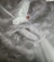 CONVERGE - The Poacher Diaries - comprar online