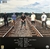 DOWN TO NOTHING - Life on the James - comprar online