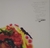 ANIMAL COLLECTIVE - Strawberry Jam - comprar online