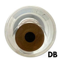 PUPILA NEGRA (1 Lente) - Gaffas Correctas