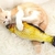 Brinquedo Interativo Gatos Peixe Elétrico Recarregável