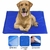 Tapete Gelado para Pet - M - comprar online