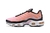 Imagem do Nike Air Max Plus