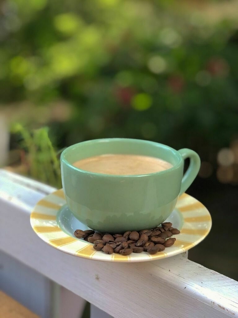 JOGO DE 6 XICARAS E PIRES