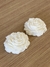Roses - STUDIO FAYAH