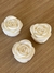 Camellia Whisper - comprar online