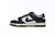 Nike Dunk SB Navy Blue And White