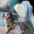 Artigos para cães Massageador de cabelo para pente Escova para gatos Suprimento