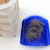 Pincel Catnip Catnip para Paredes e Móveis Quinas-Enviado do Brasil - comprar online
