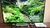 Aluguel de Videokê com 2700 músicas (Kit com TV 42'' em suporte 2m e caixa amplificada com microfone)