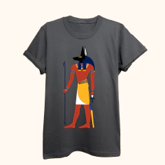 ANUBIS en internet