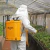 Pulverizador Costal Ss20b 20l Man E Elétri Bateria - Brudden - loja online