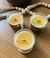 Vela de Folhas de Figo 180g - comprar online