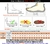 Tênis Respirável Masculino Sapatos Casuais na internet