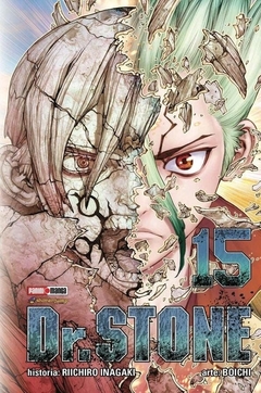 PRE / DR. STONE 15