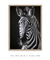 Imagem do Quadro Decorativo A Zebra