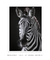 Quadro Decorativo A Zebra - loja online